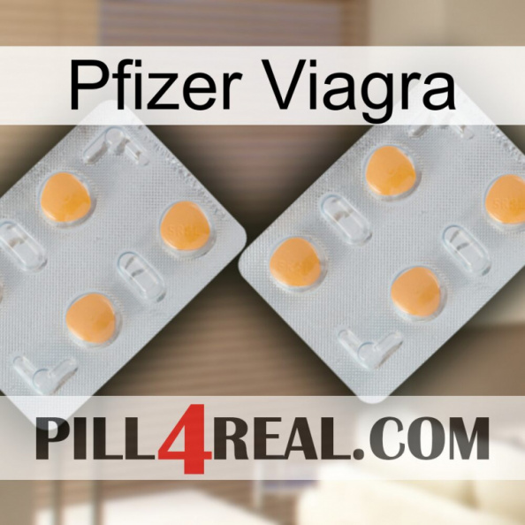 Pfizer Viagra 25.jpg